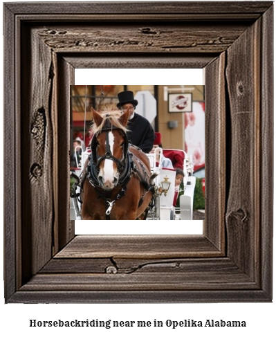 horseback riding near me in Opelika, Alabama